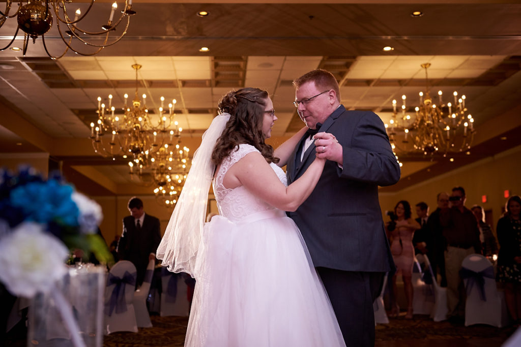 wedding photographers in bloomington normal illinois