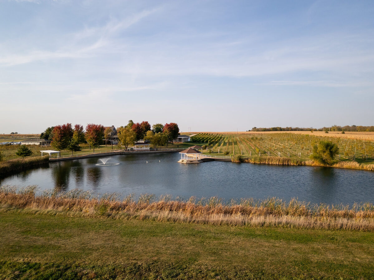 Mackinaw Valley Vineyard Wedding Photo by Ernst Jacobsen