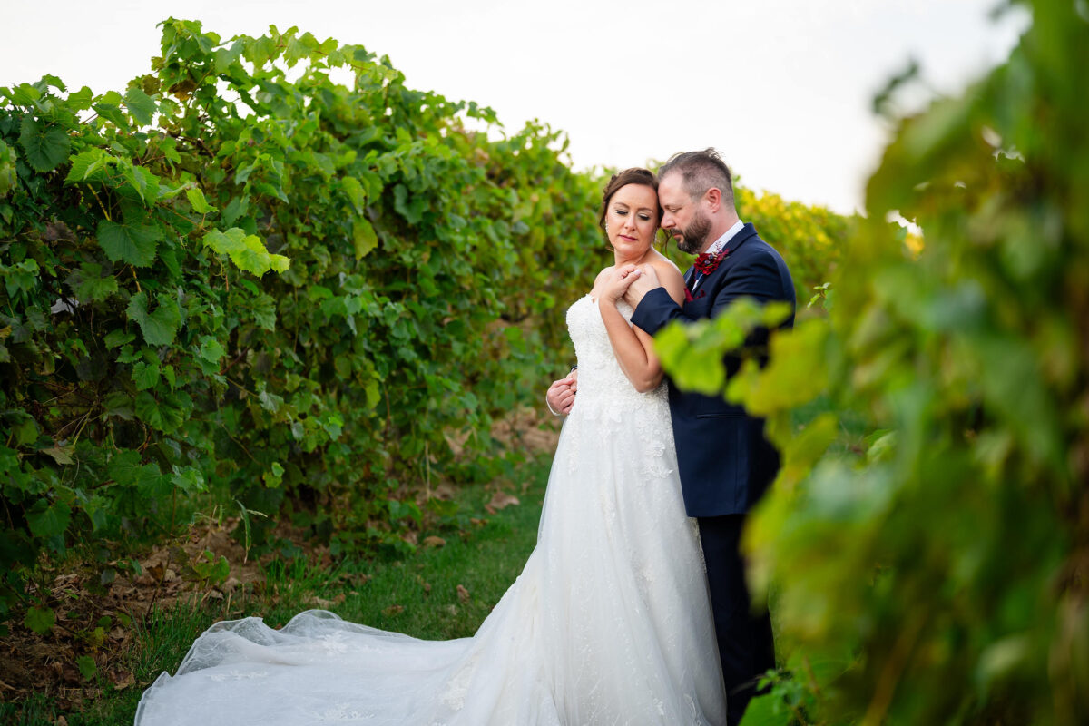 Mackinaw Valley Vineyard Wedding Photos