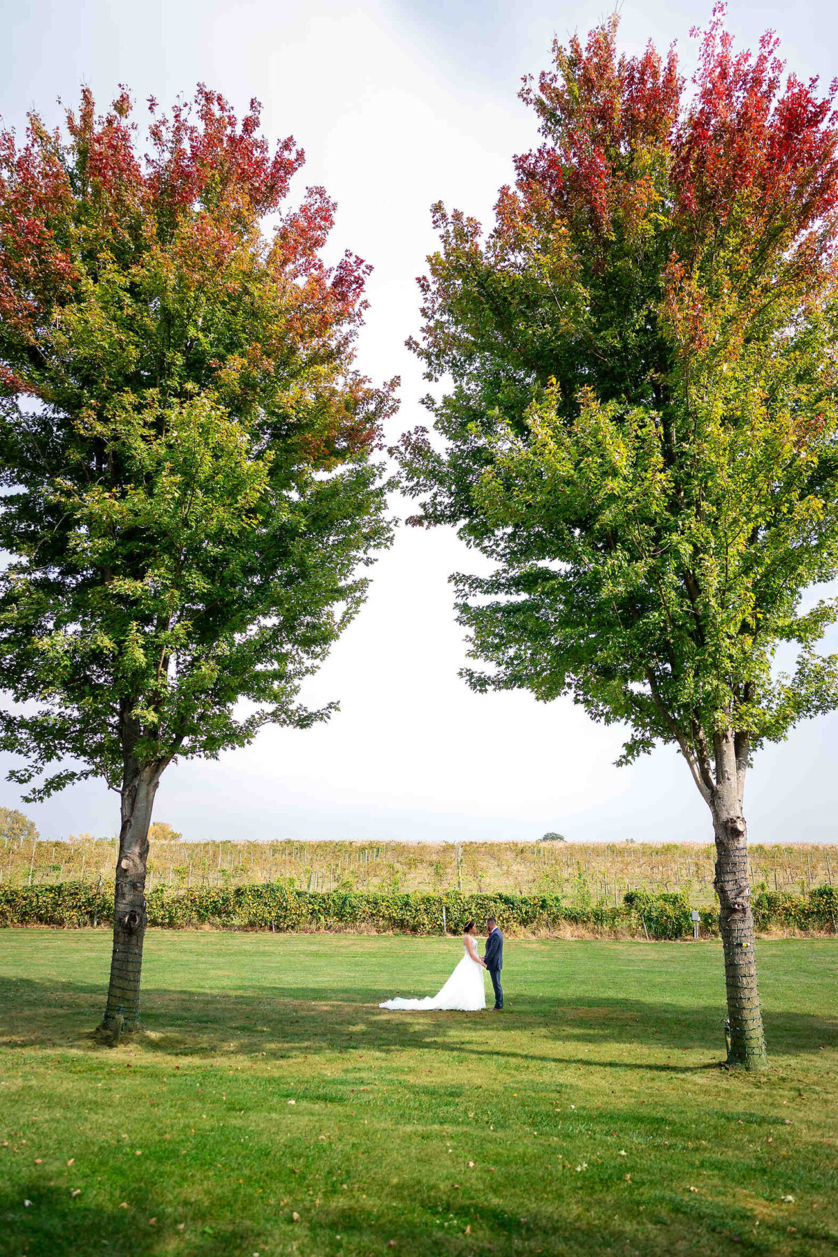 Mackinaw Valley Vineyard Wedding Photo by Ernst Jacobsen